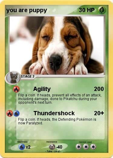 Pokemon you are puppy
