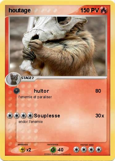 Pokemon houtage