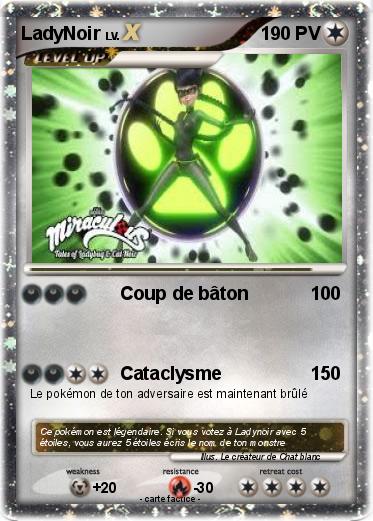 Pokemon LadyNoir