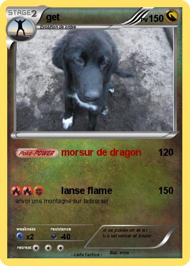 Pokemon get
