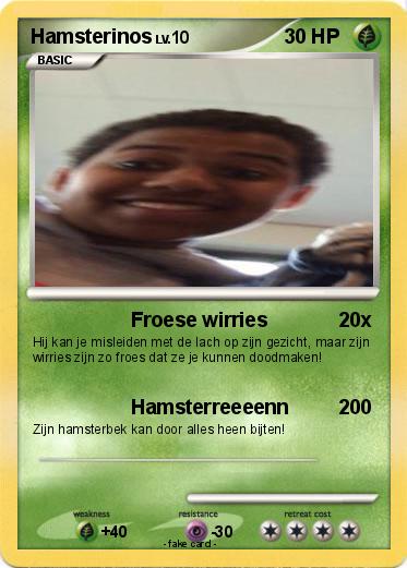 Pokemon Hamsterinos