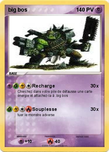 Pokemon big bos