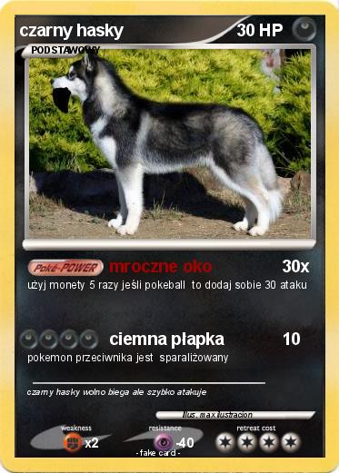 Pokemon czarny hasky
