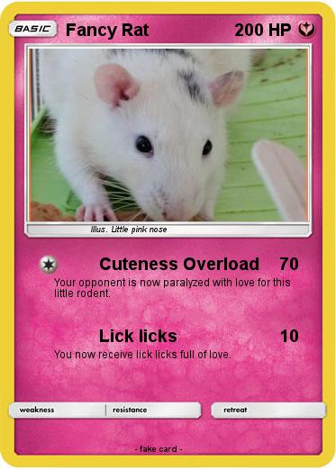 Pokemon Fancy Rat
