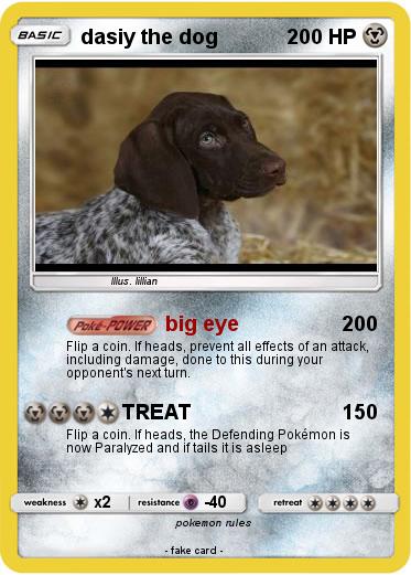 Pokemon dasiy the dog