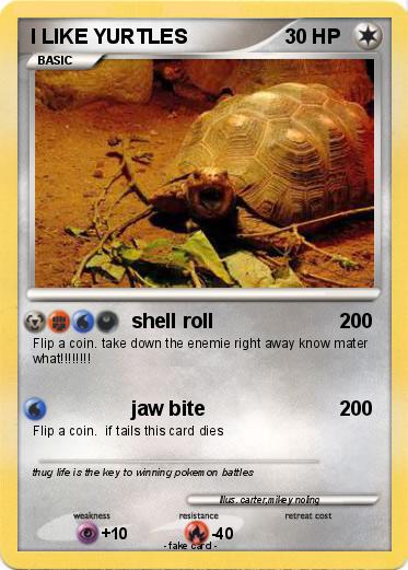 Pokemon I LIKE YURTLES