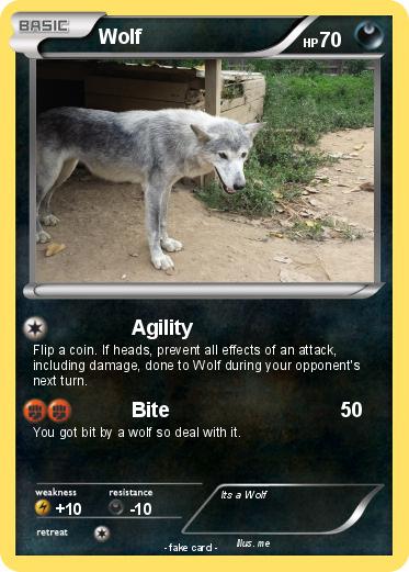 Pokemon Wolf