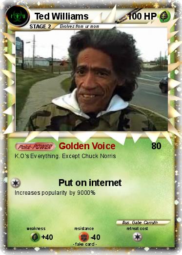 Pokemon Ted Williams