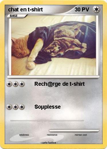 Pokemon chat en t-shirt