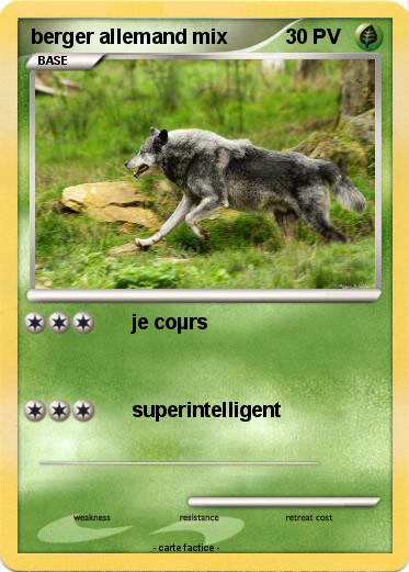 Pokemon berger allemand mix