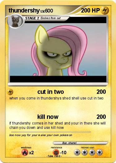 Pokemon thundershy