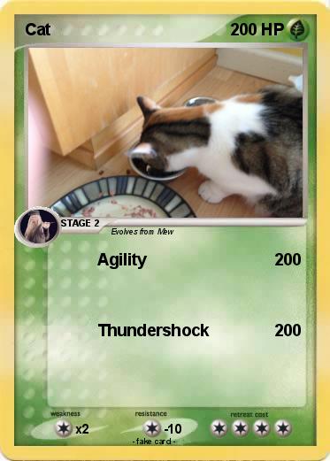 Pokemon Cat