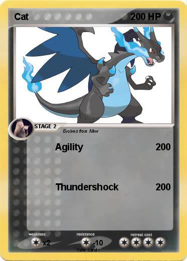 Pokemon Cat