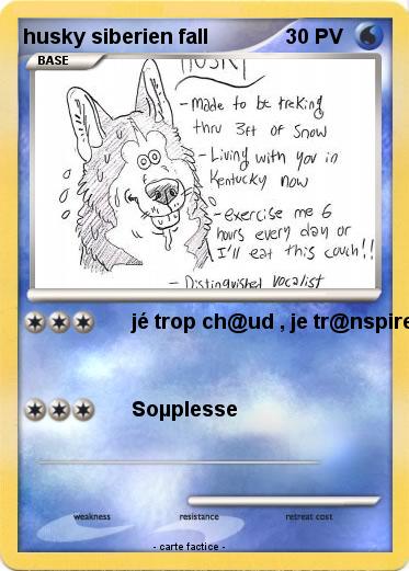 Pokemon husky siberien fall