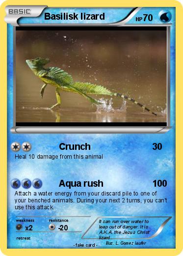Pokemon Basilisk lizard