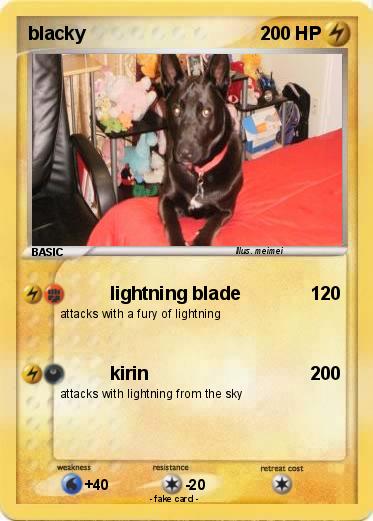 Pokemon blacky