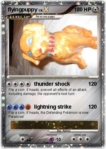 Pokemon flyingpuppy