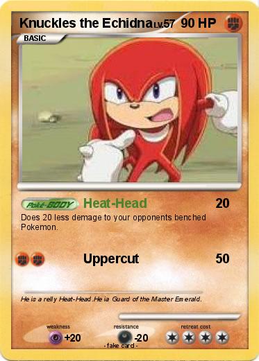 Pokemon Knuckles the Echidna