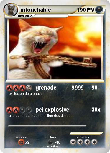 Pokemon intouchable
