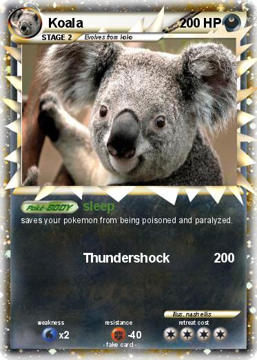 Pokemon Koala