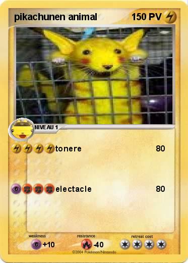 Pokemon pikachunen animal