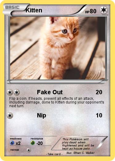 Pokemon Kitten