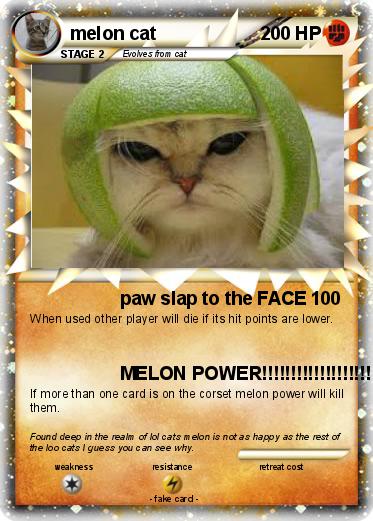 Pokemon melon cat