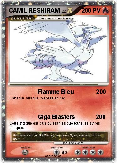 Pokemon CAMIL RESHIRAM
