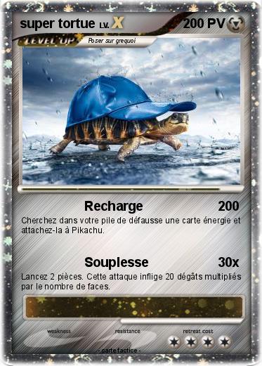 Pokemon super tortue