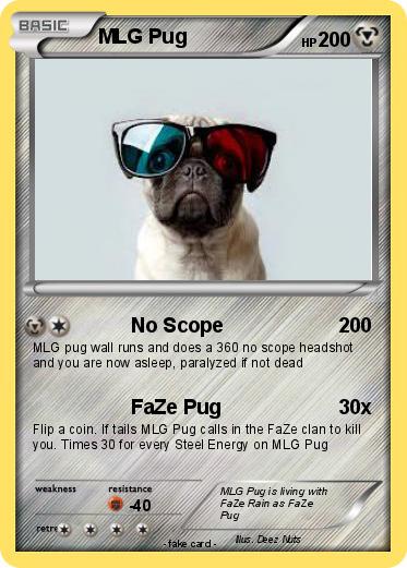 Pokemon MLG Pug