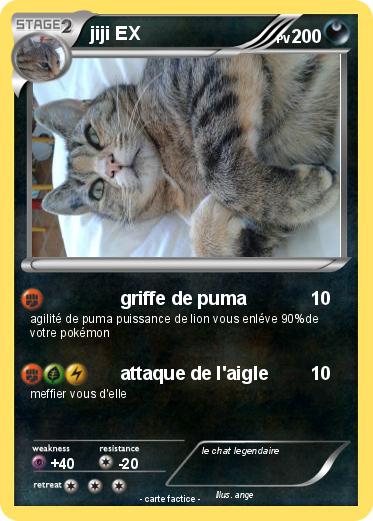 Pokemon jiji EX