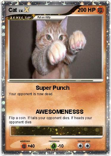 Pokemon Cat