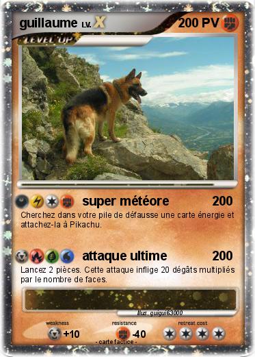 Pokemon guillaume