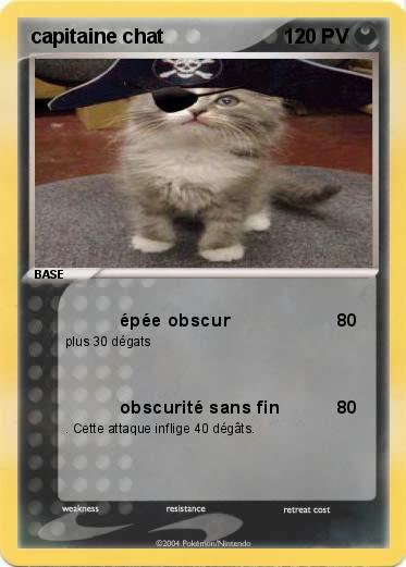Pokemon capitaine chat
