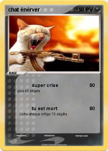 Pokemon chat énérver