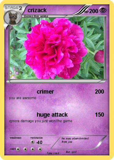 Pokemon crizack