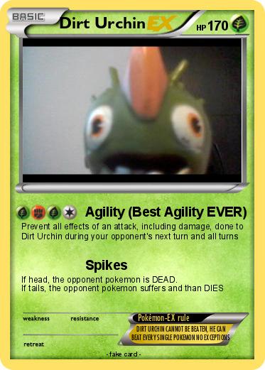 Pokemon Dirt Urchin