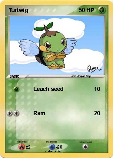Pokemon Turtwig