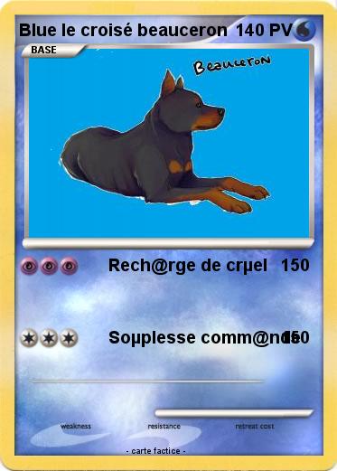 Pokemon Blue le croisé beauceron