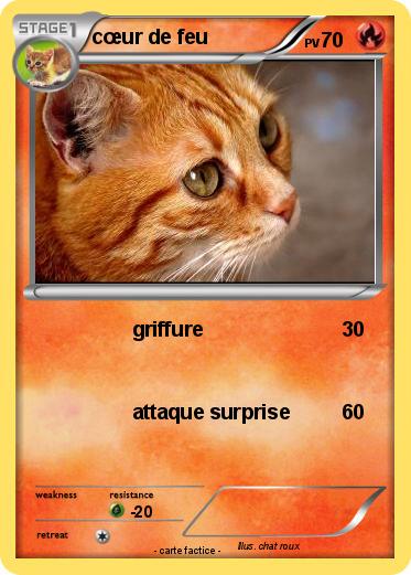 Pokemon cœur de feu