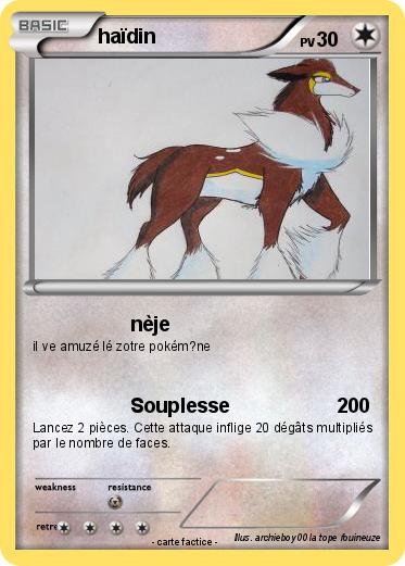 Pokemon haïdin