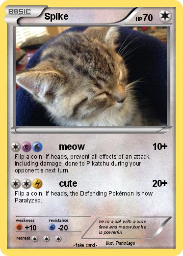 Pokemon Spike