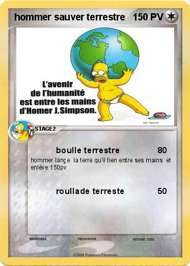 Pokemon hommer sauver terrestre