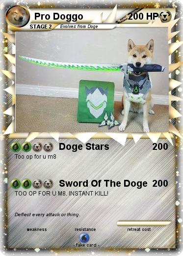 Pokemon Pro Doggo