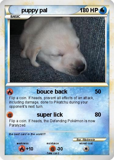 Pokemon puppy pal