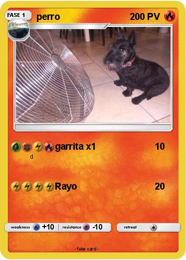 Pokemon perro