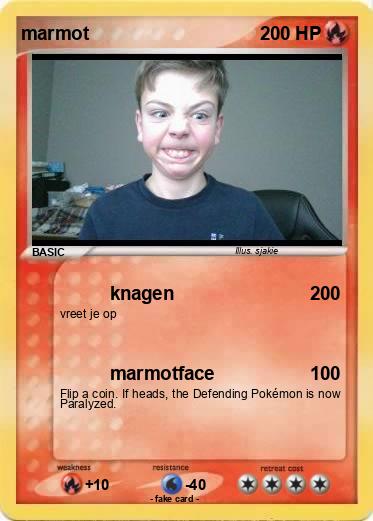 Pokemon marmot