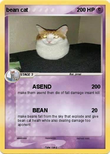 Pokemon bean cat