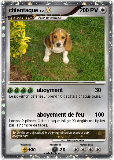 Pokemon chientaque