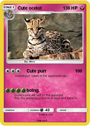 Pokemon Cute ocelot